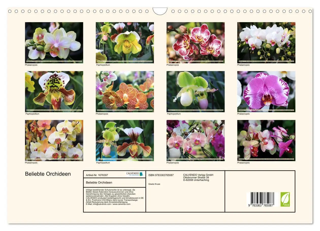 Bild: 9783383765087 | Beliebte Orchideen (Wandkalender 2025 DIN A3 quer), CALVENDO...