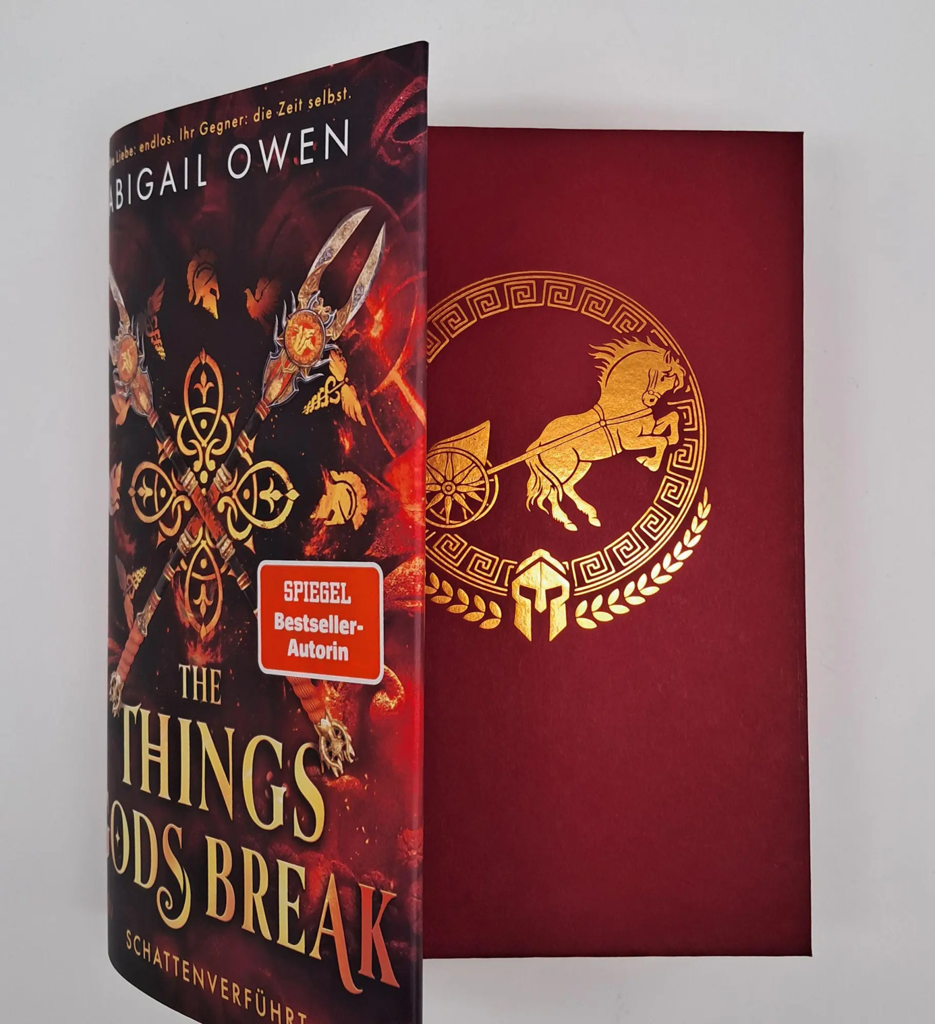 Bild: 9783423285087 | The Things Gods Break - Schattenverführt | Abigail Owen | Buch | 2025