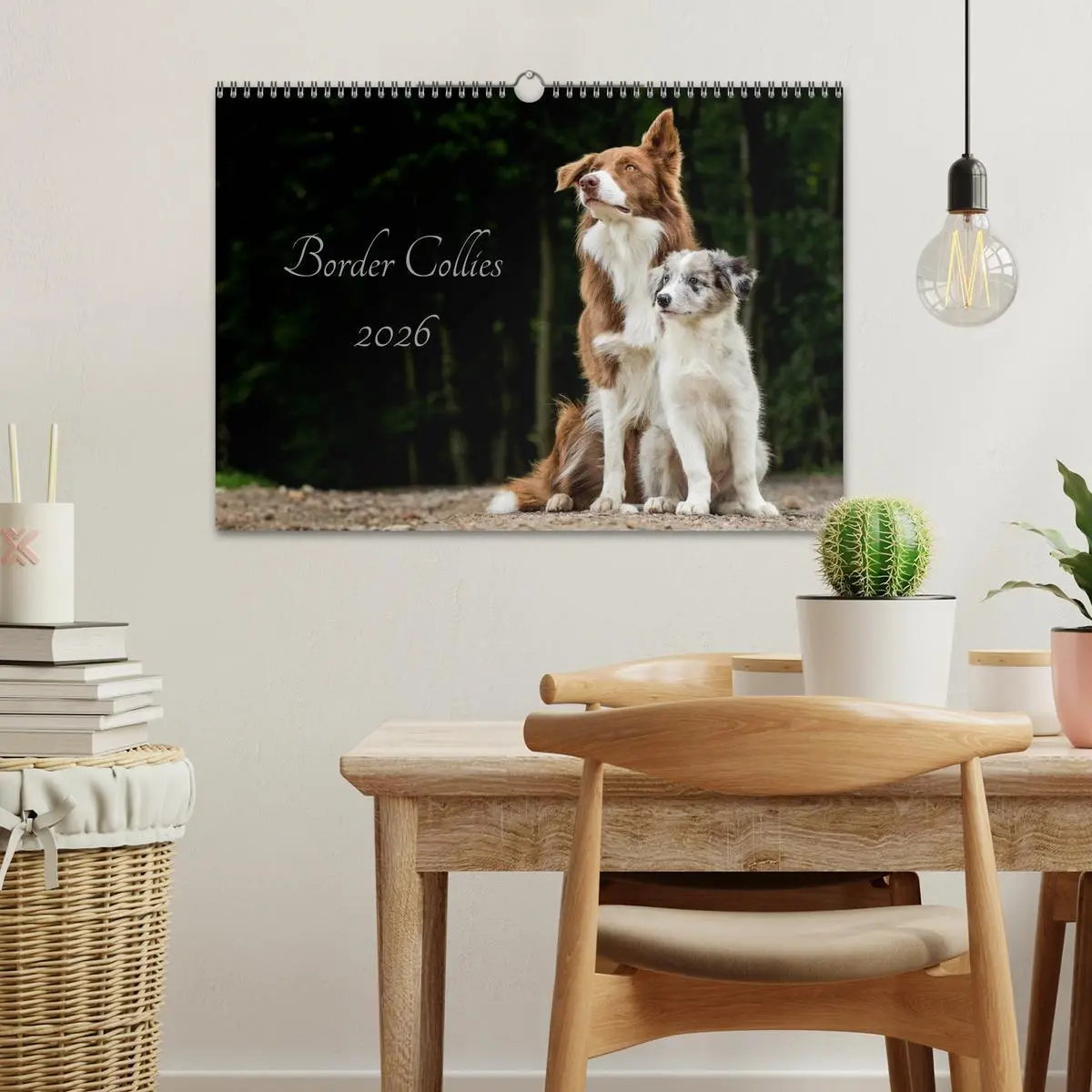 Bild: 9783516035087 | Border Collies 2026 (Wandkalender 2026 DIN A3 quer), CALVENDO...