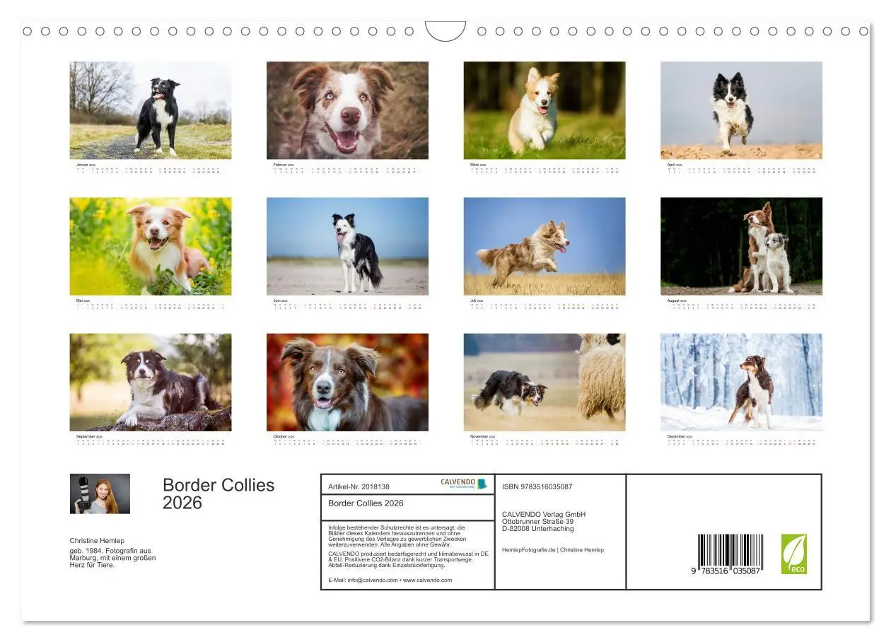 Bild: 9783516035087 | Border Collies 2026 (Wandkalender 2026 DIN A3 quer), CALVENDO...