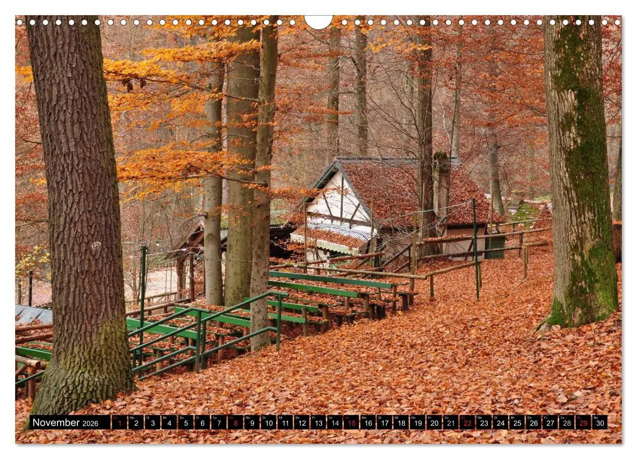 Bild: 9783516105087 | Forchheim (Wandkalender 2026 DIN A3 quer), CALVENDO Monatskalender