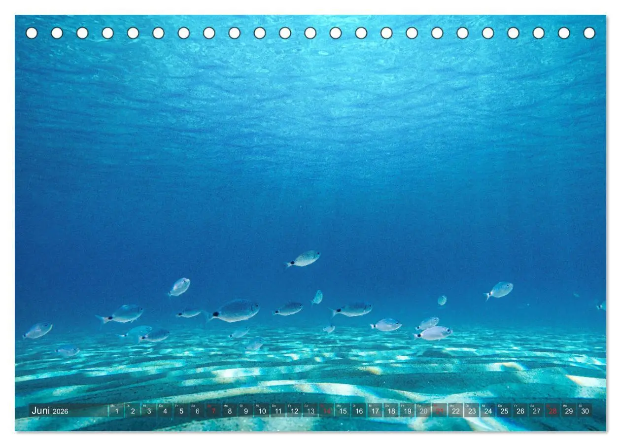 Bild: 9783457305287 | Sardinien - Karibik des Mittelmeers (Tischkalender 2026 DIN A5...
