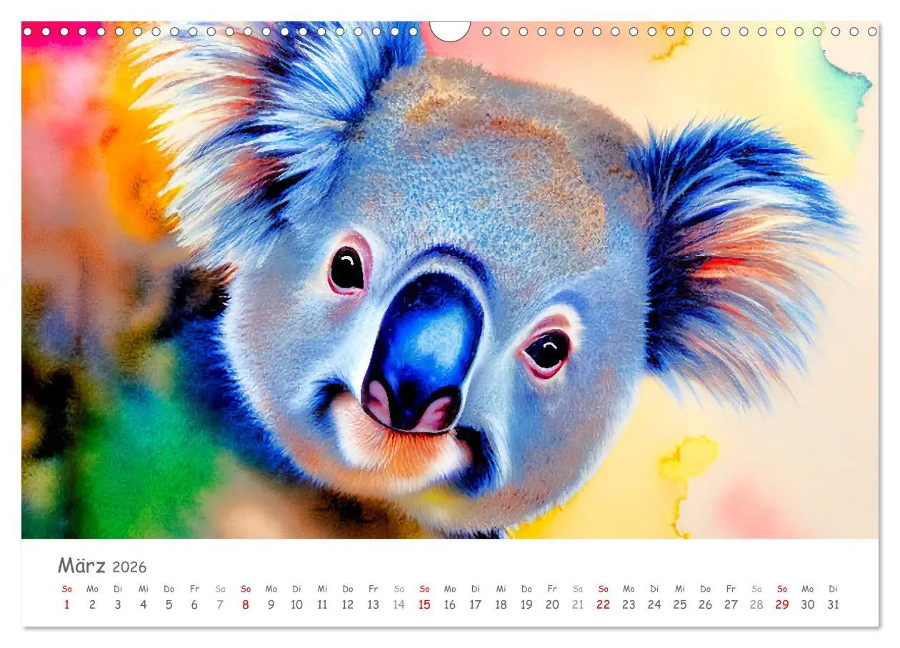 Bild: 9783457855287 | Der Koala 2026. Aschgrauer Beutelbär (Wandkalender 2026 DIN A3...