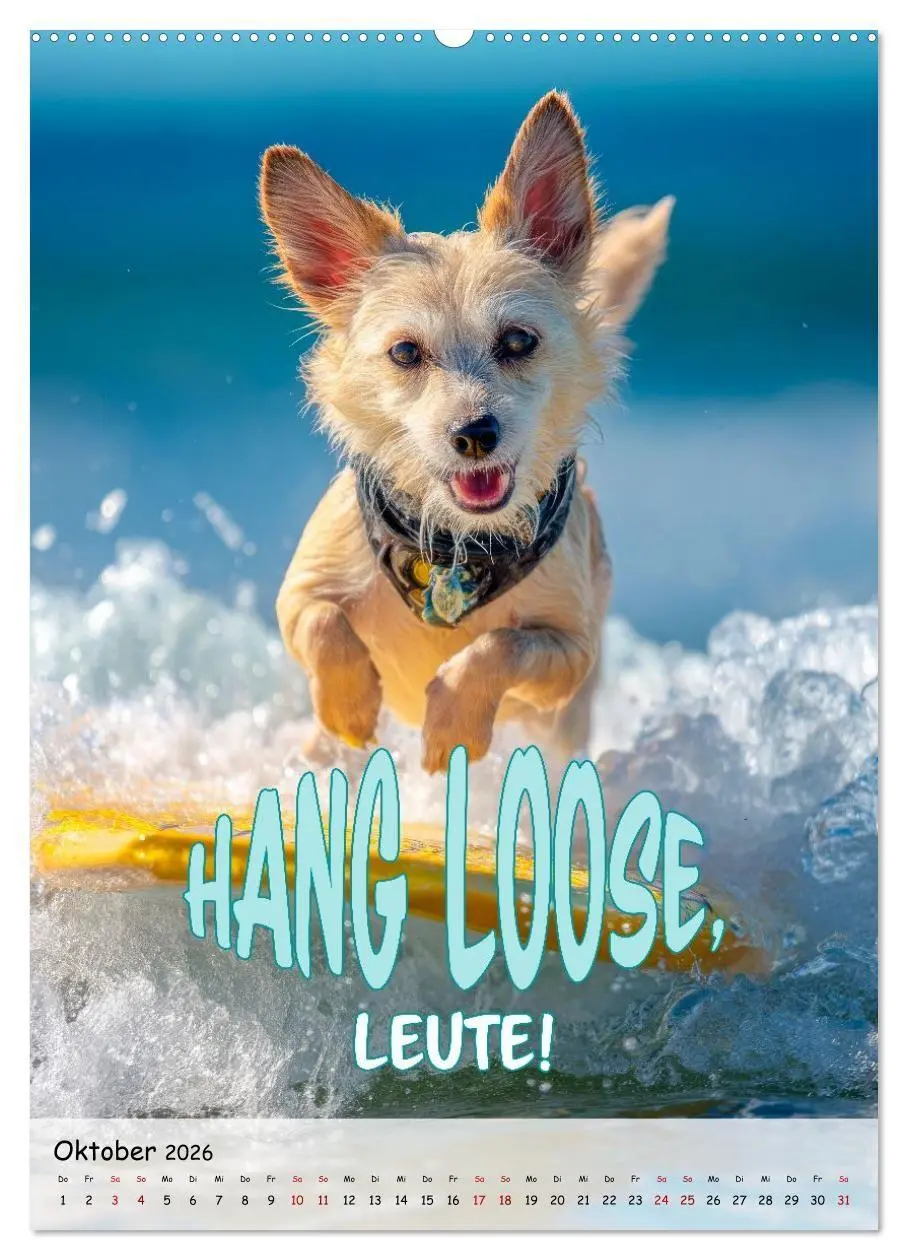 Bild: 9783516705287 | Tierisch erwischt (hochwertiger Premium Wandkalender 2026 DIN A2...