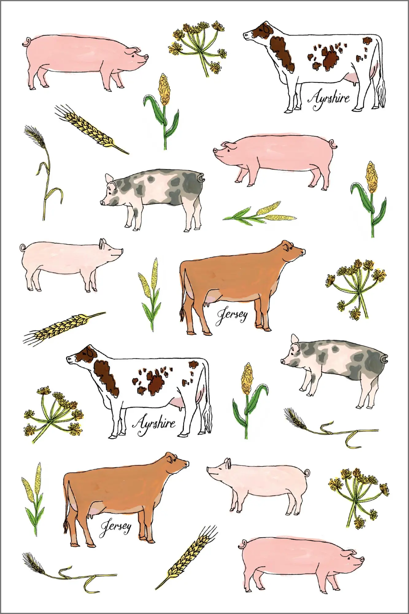 Bild: 9781635865387 | Farm Anatomy Sticker Book | Julia Rothman | Taschenbuch | Englisch