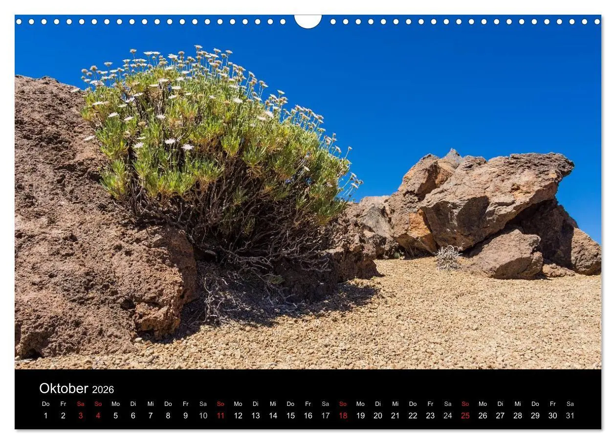 Bild: 9783516175387 | Teneriffa (Wandkalender 2026 DIN A3 quer), CALVENDO Monatskalender