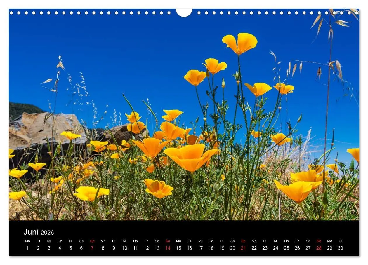 Bild: 9783516175387 | Teneriffa (Wandkalender 2026 DIN A3 quer), CALVENDO Monatskalender