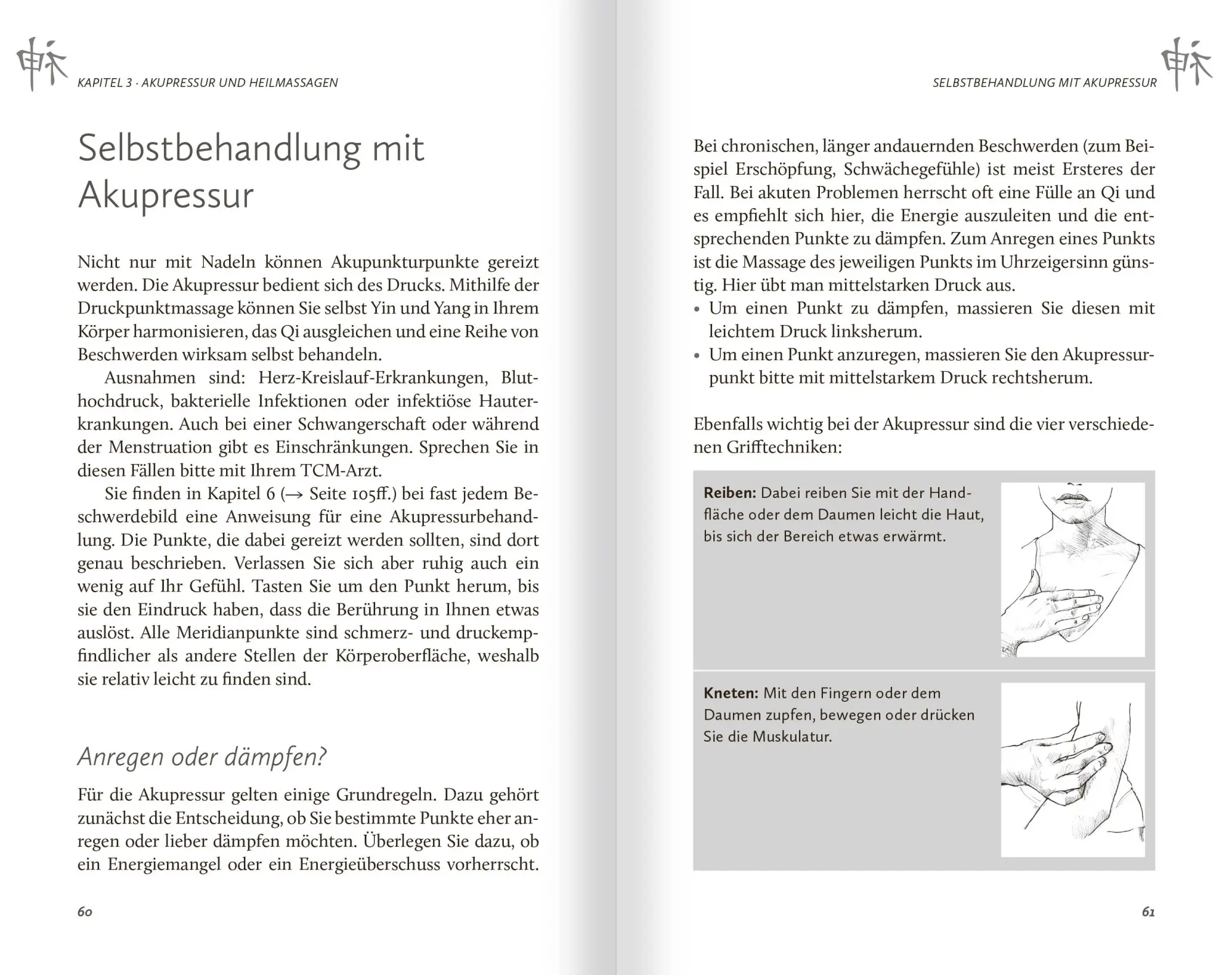 Bild: 9783863745387 | Das Buch der Chinesischen Heilkunst | Yunnan Li Wu | Taschenbuch