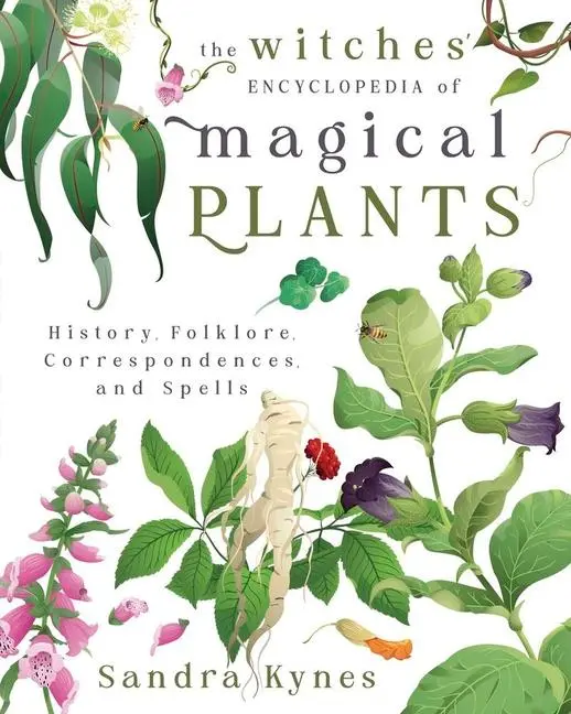 Cover: 9780738775487 | The Witches' Encyclopedia of Magical Plants | Sandra Kynes | Buch