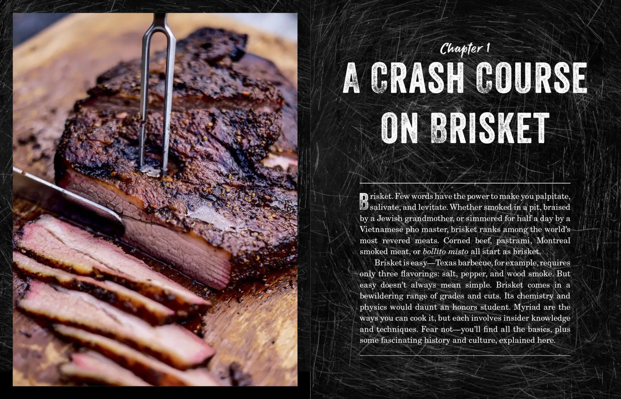Bild: 9781523505487 | The Brisket Chronicles | Steven Raichlen | Taschenbuch | Englisch