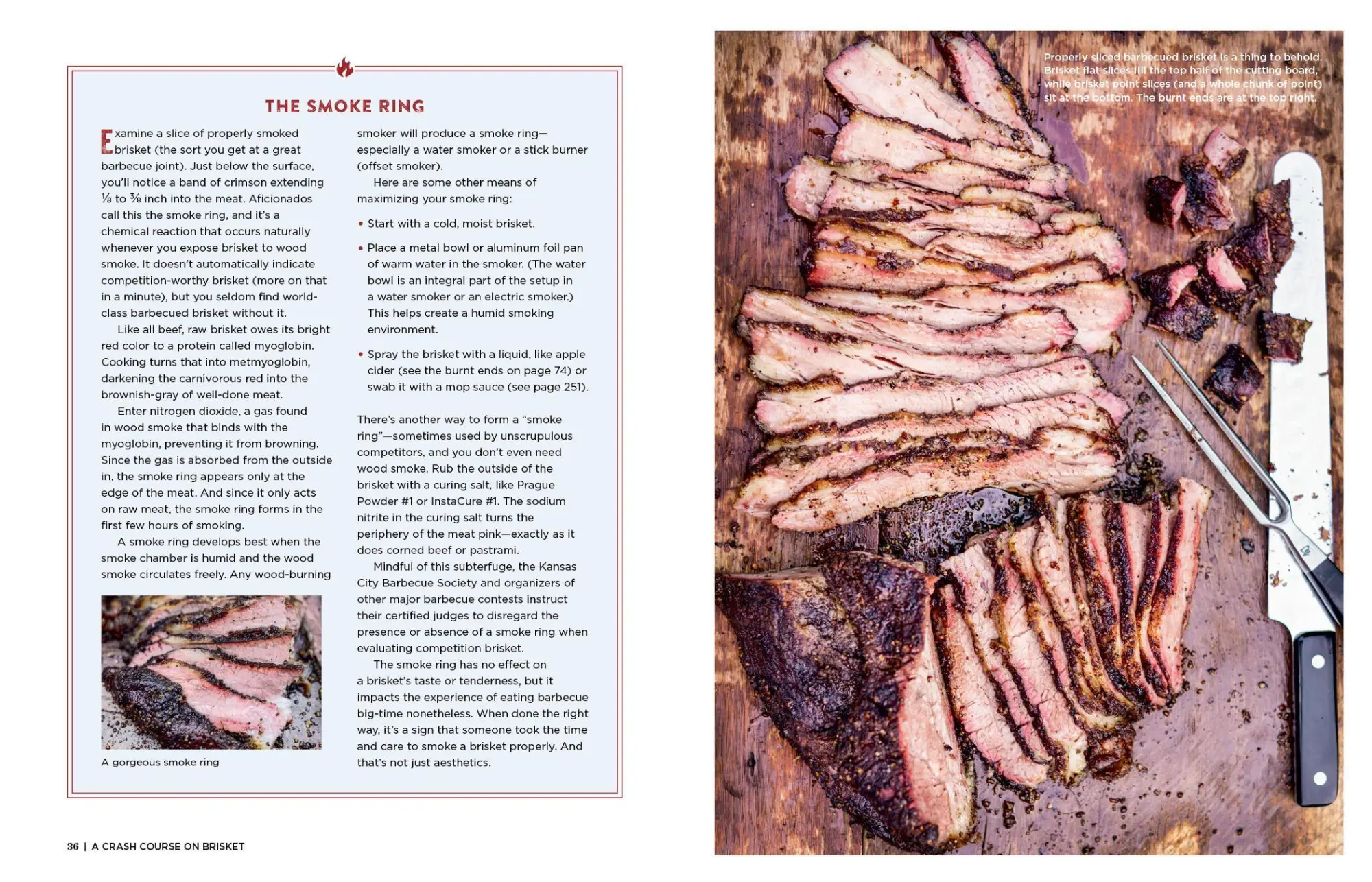 Bild: 9781523505487 | The Brisket Chronicles | Steven Raichlen | Taschenbuch | Englisch