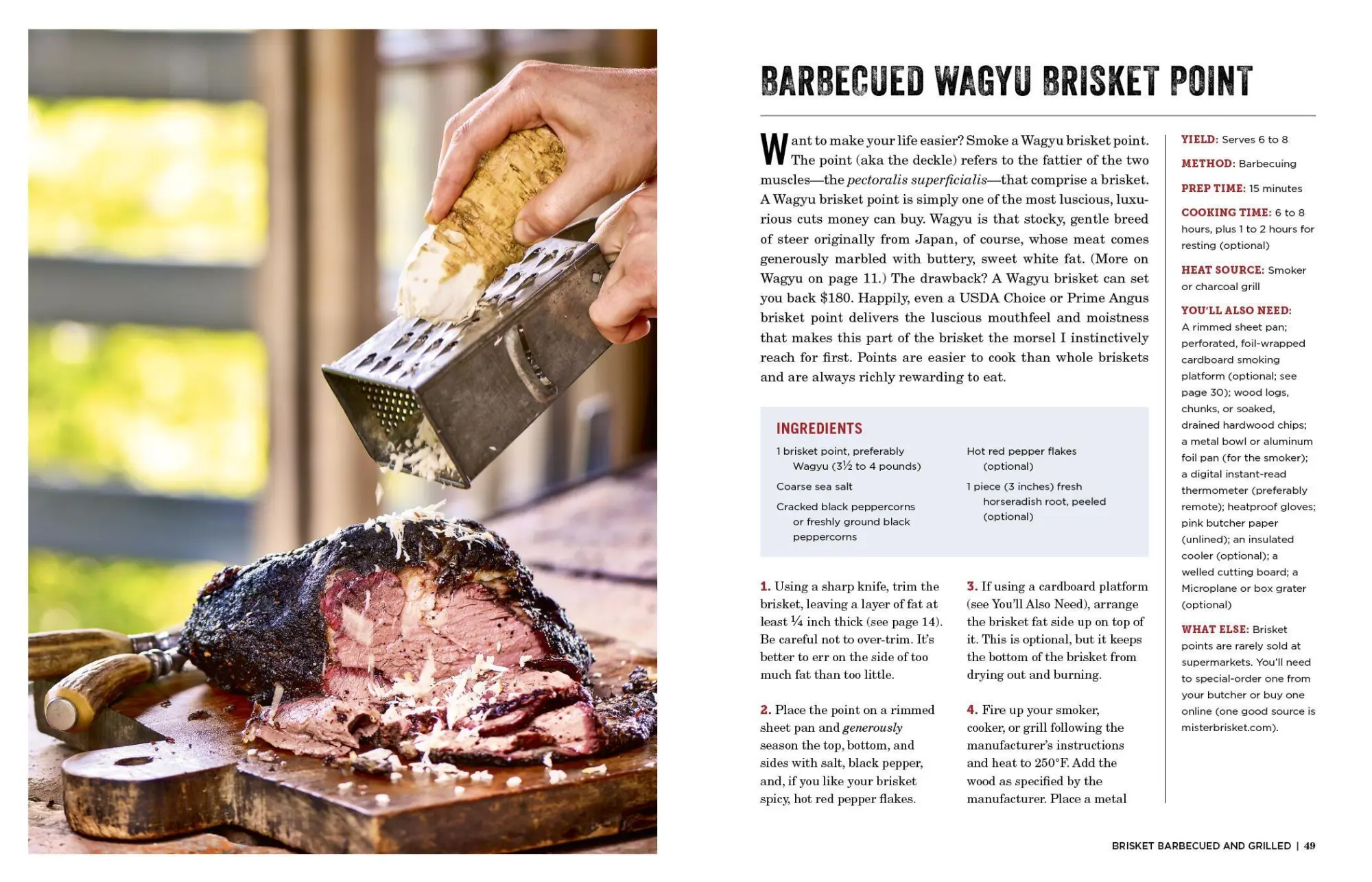 Bild: 9781523505487 | The Brisket Chronicles | Steven Raichlen | Taschenbuch | Englisch