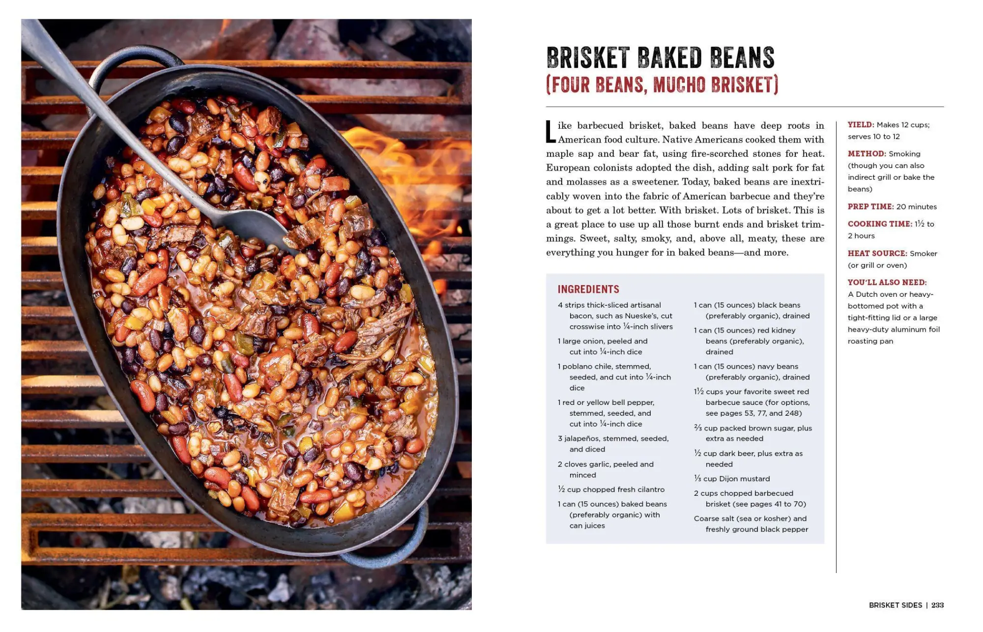 Bild: 9781523505487 | The Brisket Chronicles | Steven Raichlen | Taschenbuch | Englisch