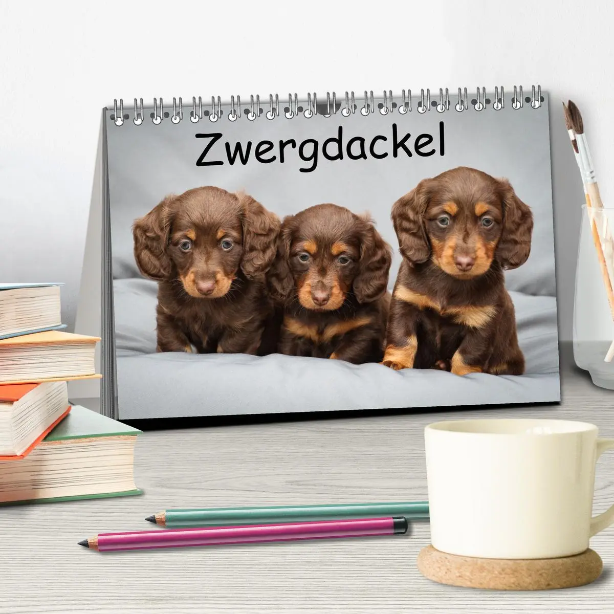 Bild: 9783457525487 | Zwergdackel von Kadi (Tischkalender 2026 DIN A5 quer), CALVENDO...