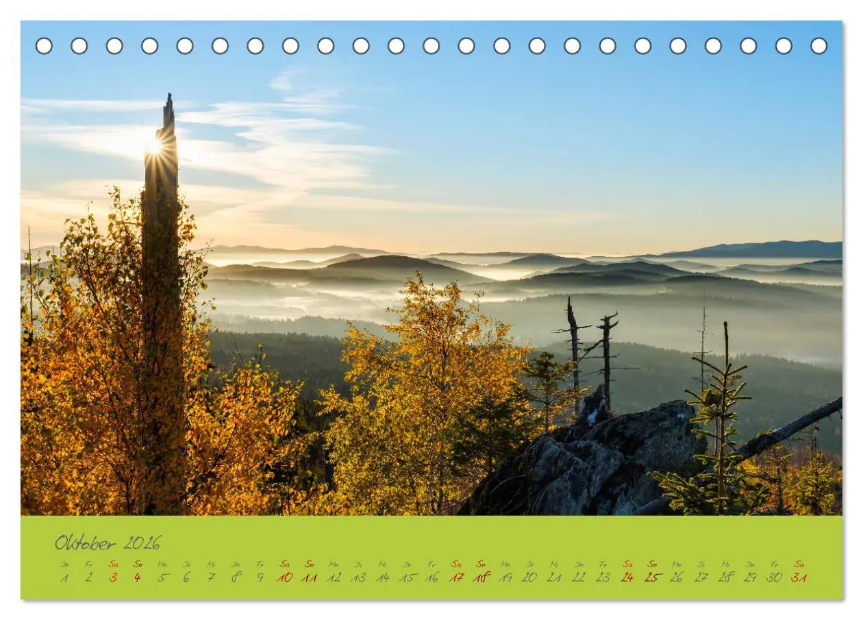 Bild: 9783457765487 | Der Bayerische Wald (Tischkalender 2026 DIN A5 quer), CALVENDO...