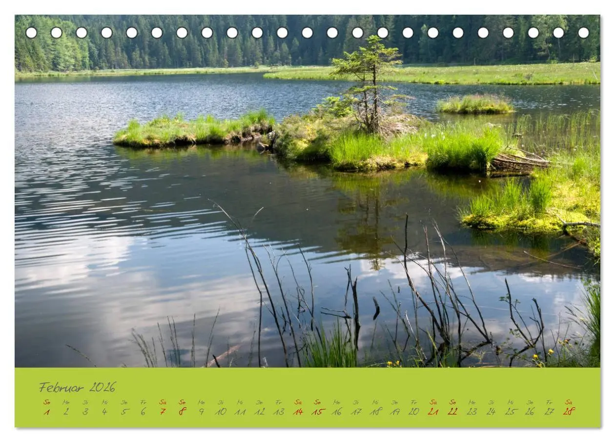 Bild: 9783457765487 | Der Bayerische Wald (Tischkalender 2026 DIN A5 quer), CALVENDO...