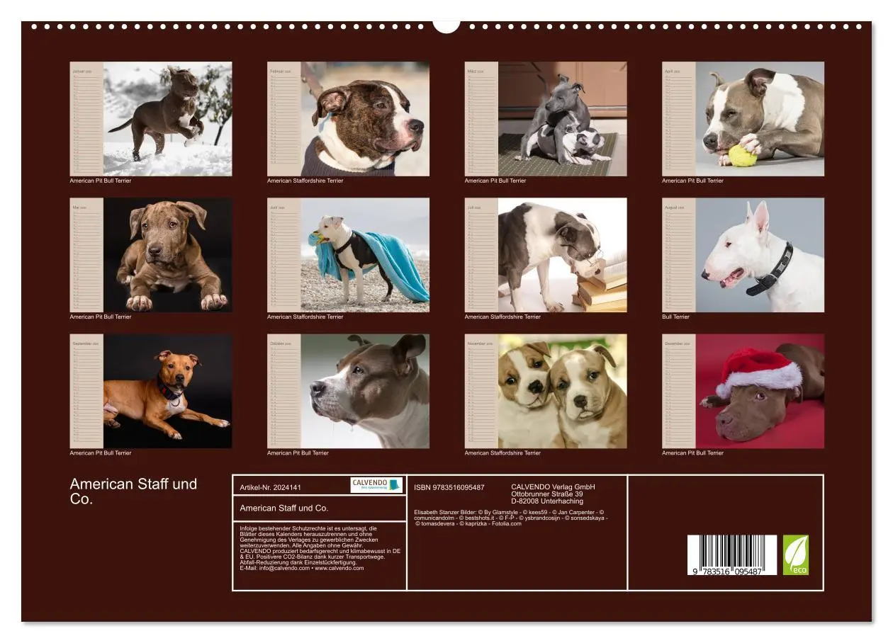 Bild: 9783516095487 | American Staff und Co. (hochwertiger Premium Wandkalender 2026 DIN...