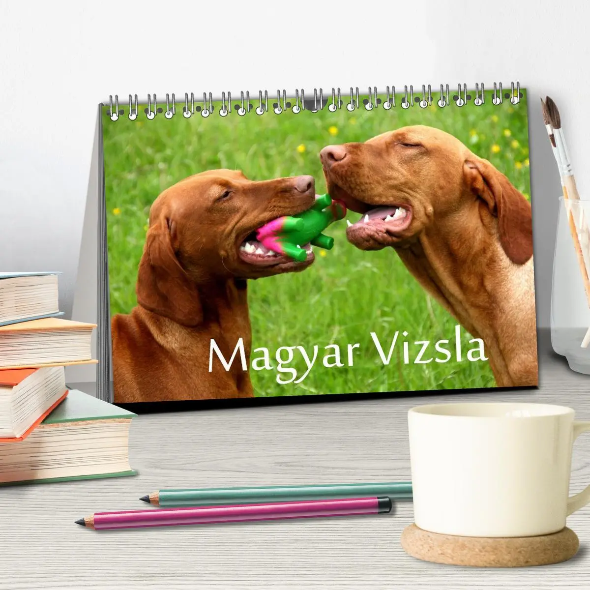Bild: 9783516165487 | Magyar Vizsla (Tischkalender 2026 DIN A5 quer), CALVENDO...