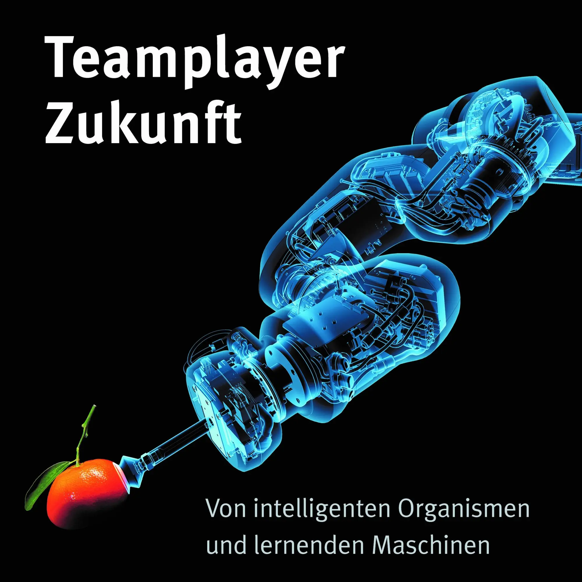 Cover: 9783834335487 | Teamplayer Zukunft | Patricia Piekenbrock | Buch | 110 S. | Deutsch