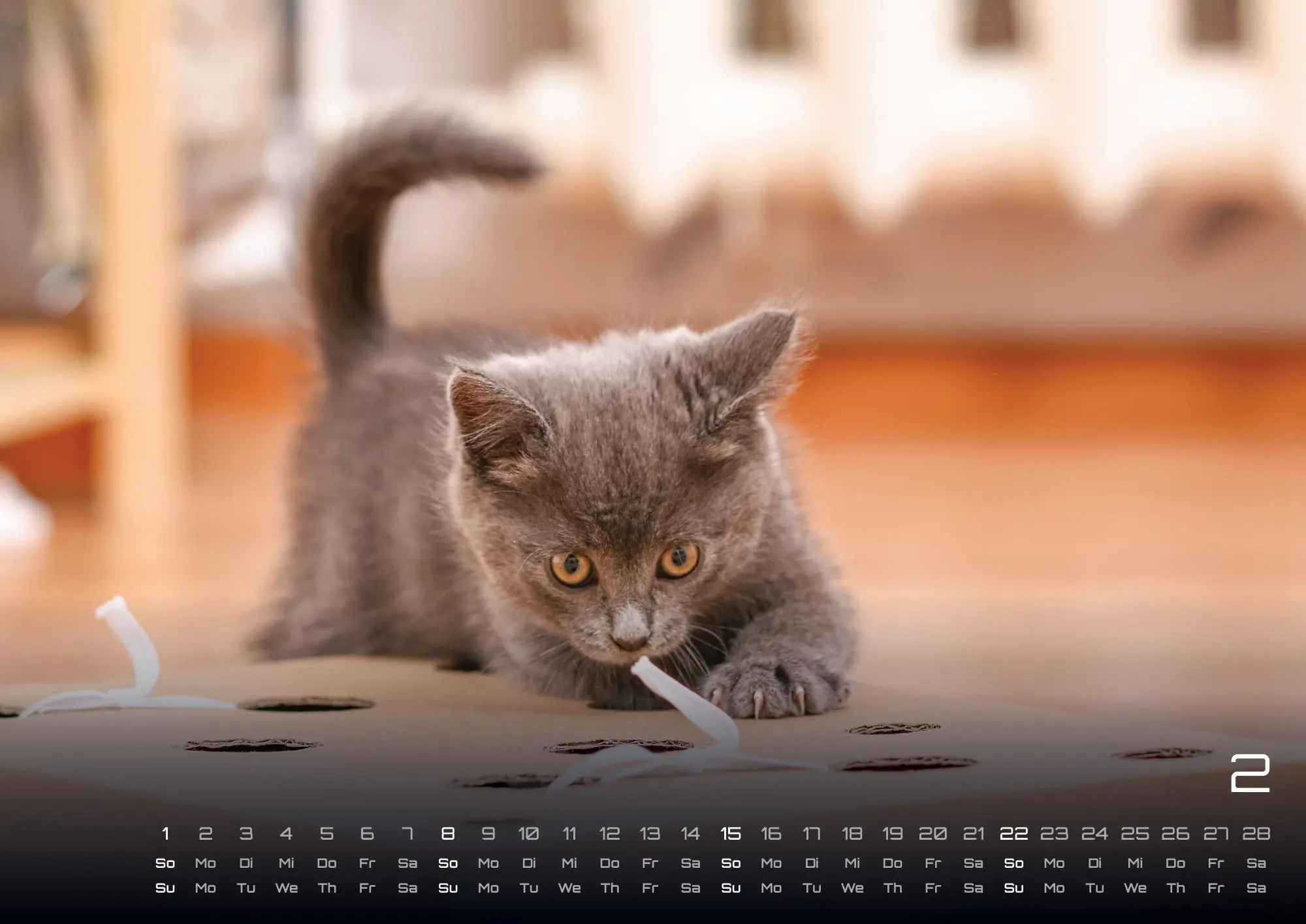 Bild: 9783986735487 | Miau Kids - kleine Tiger ganz groß - Der Katzenkalender - 2026 -...