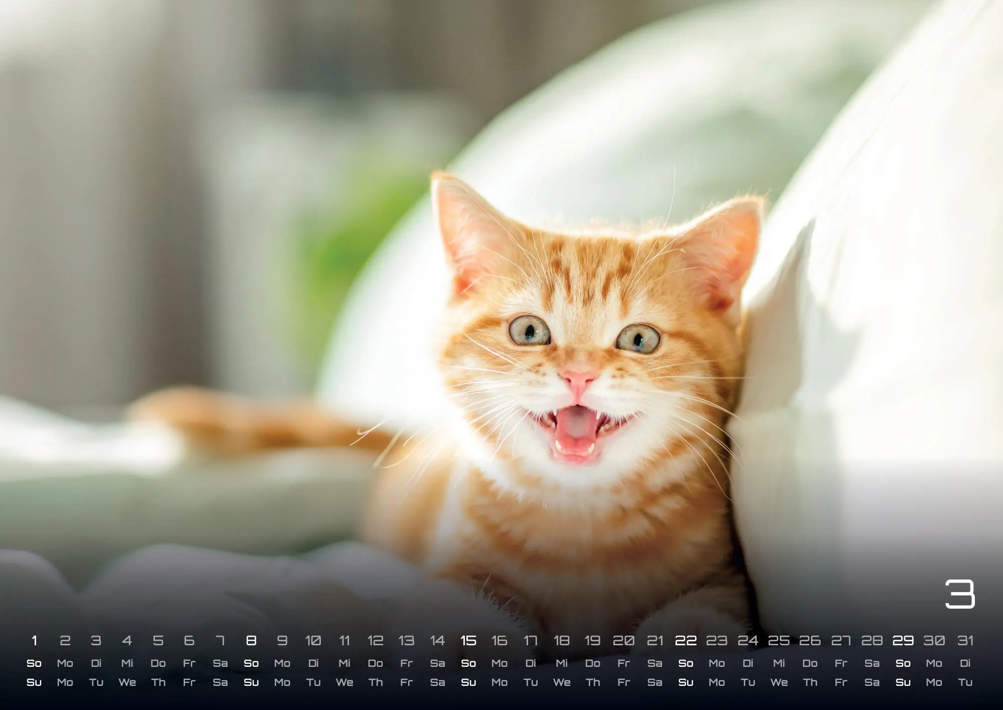 Bild: 9783986735487 | Miau Kids - kleine Tiger ganz groß - Der Katzenkalender - 2026 -...