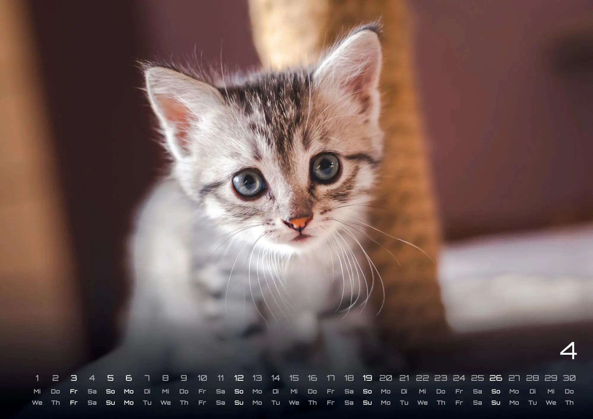 Bild: 9783986735487 | Miau Kids - kleine Tiger ganz groß - Der Katzenkalender - 2026 -...
