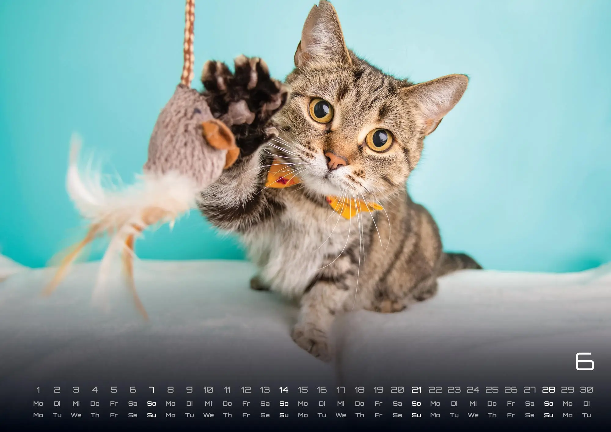 Bild: 9783986735487 | Miau Kids - kleine Tiger ganz groß - Der Katzenkalender - 2026 -...