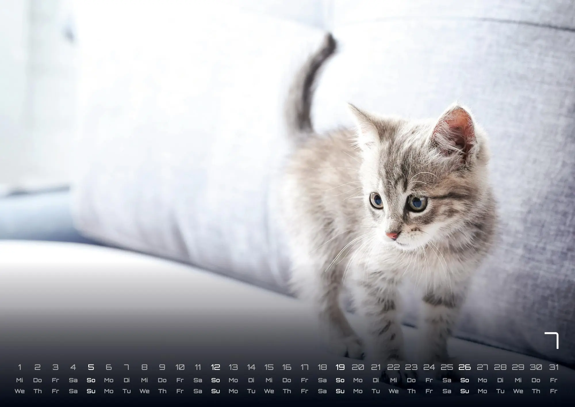 Bild: 9783986735487 | Miau Kids - kleine Tiger ganz groß - Der Katzenkalender - 2026 -...