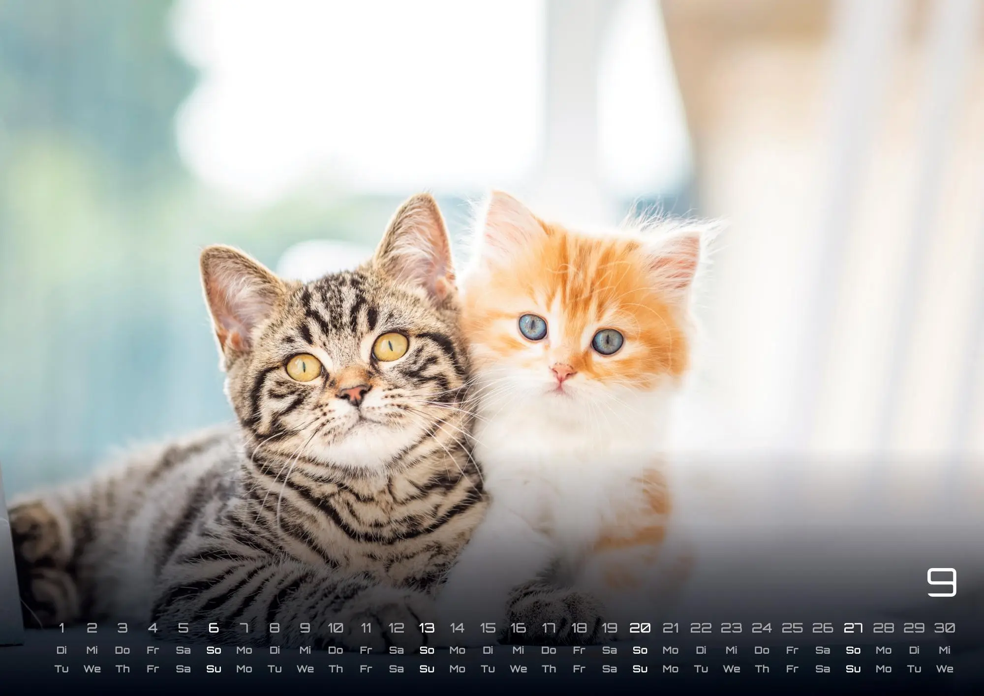 Bild: 9783986735487 | Miau Kids - kleine Tiger ganz groß - Der Katzenkalender - 2026 -...