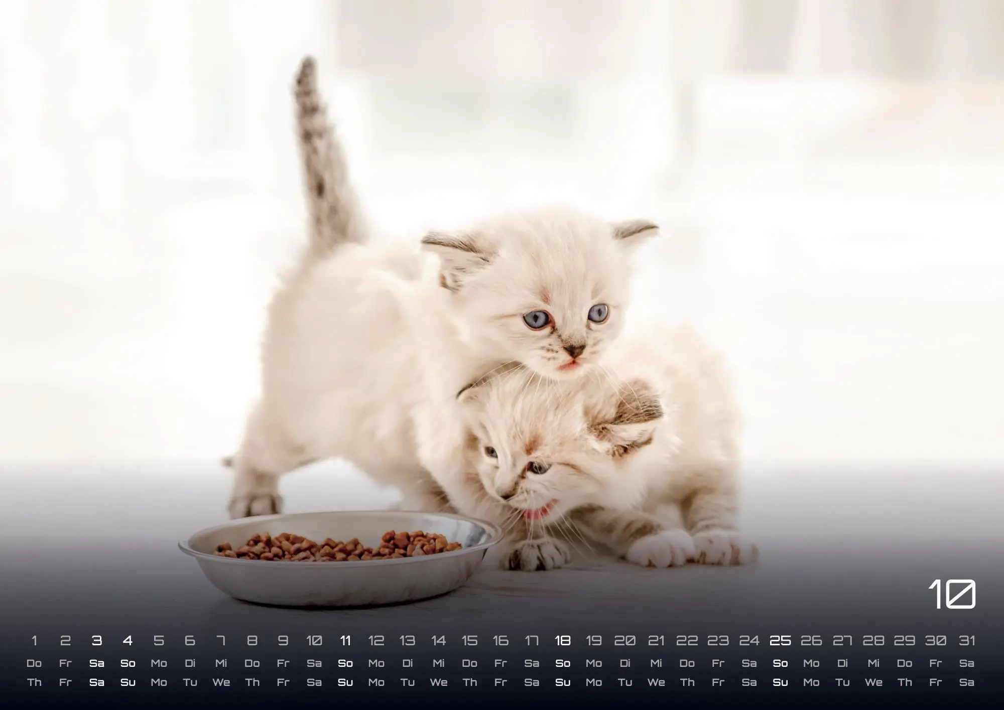 Bild: 9783986735487 | Miau Kids - kleine Tiger ganz groß - Der Katzenkalender - 2026 -...
