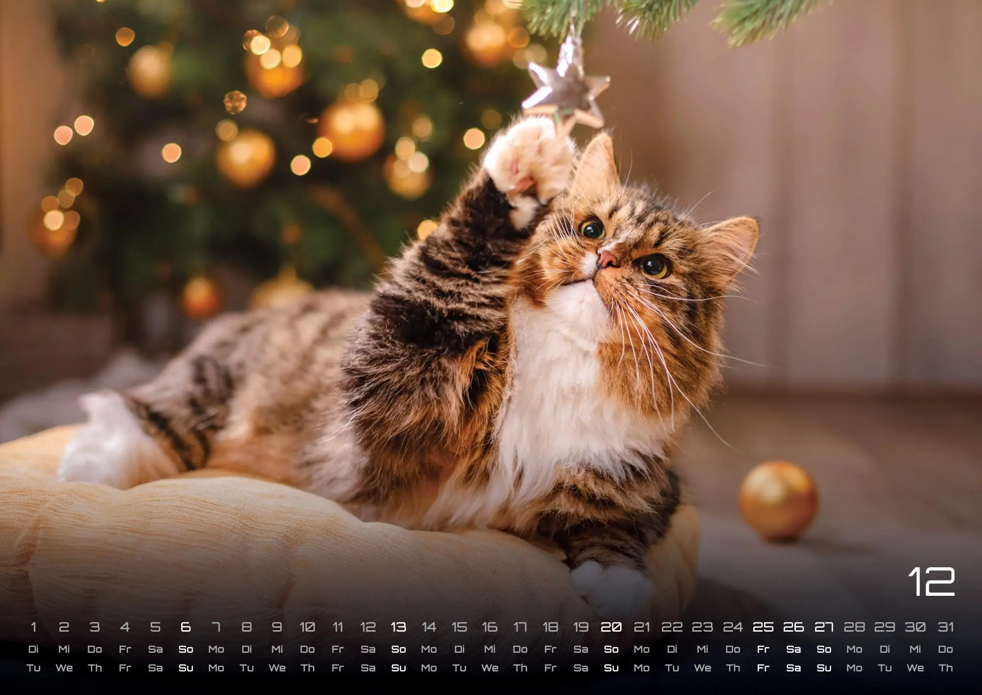 Bild: 9783986735487 | Miau Kids - kleine Tiger ganz groß - Der Katzenkalender - 2026 -...