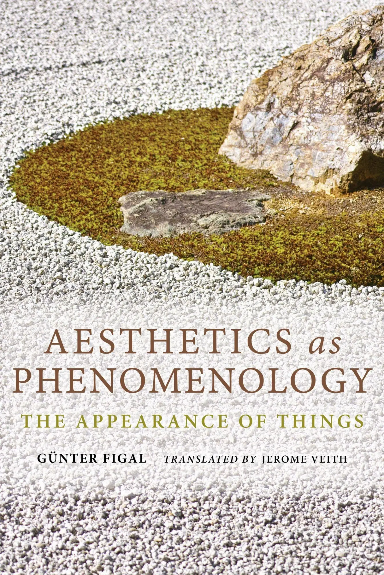 Cover: 9780253015587 | Aesthetics as Phenomenology | The Appearance of Things | Gunter Figal