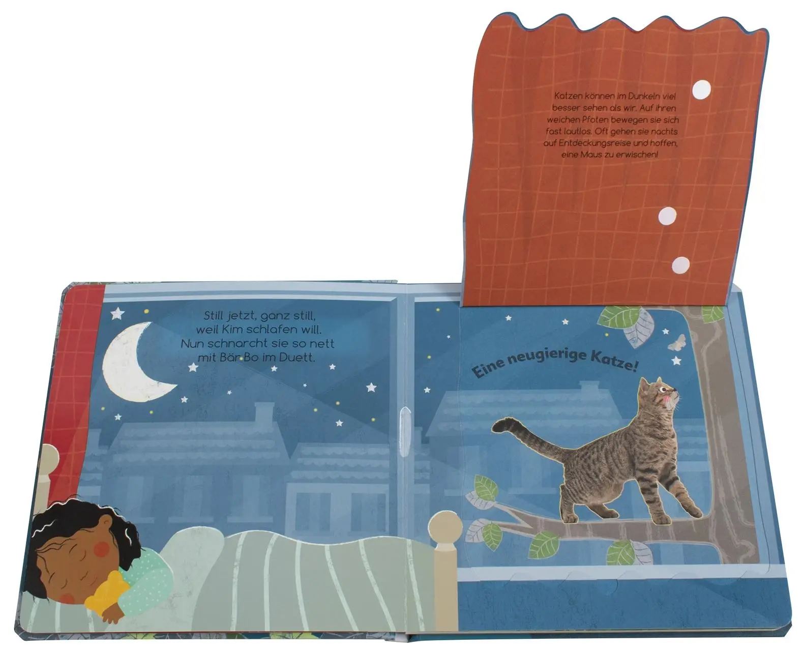 Bild: 9783831045587 | Wer ist denn da noch wach? Tiere der Nacht | Sandra Grimm | Buch