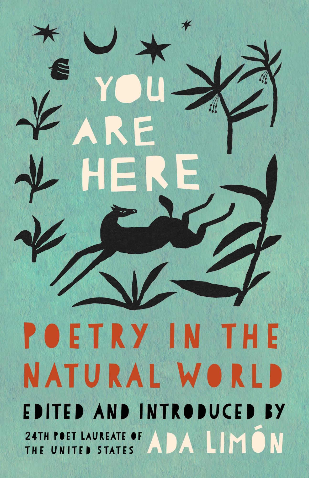 Cover: 9781571315687 | You Are Here | Poetry in the Natural World | Ada Limón | Buch | 2024