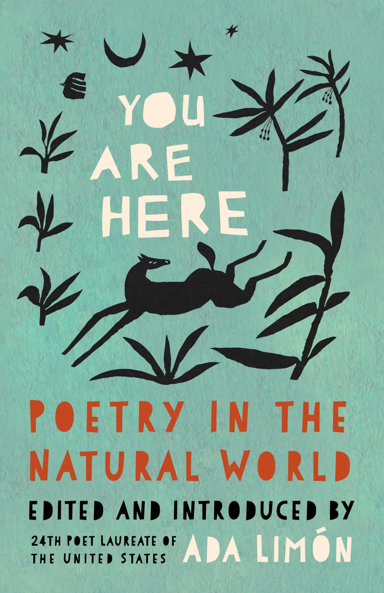 Cover: 9781571315687 | You Are Here | Poetry in the Natural World | Ada Limón | Buch | 2024