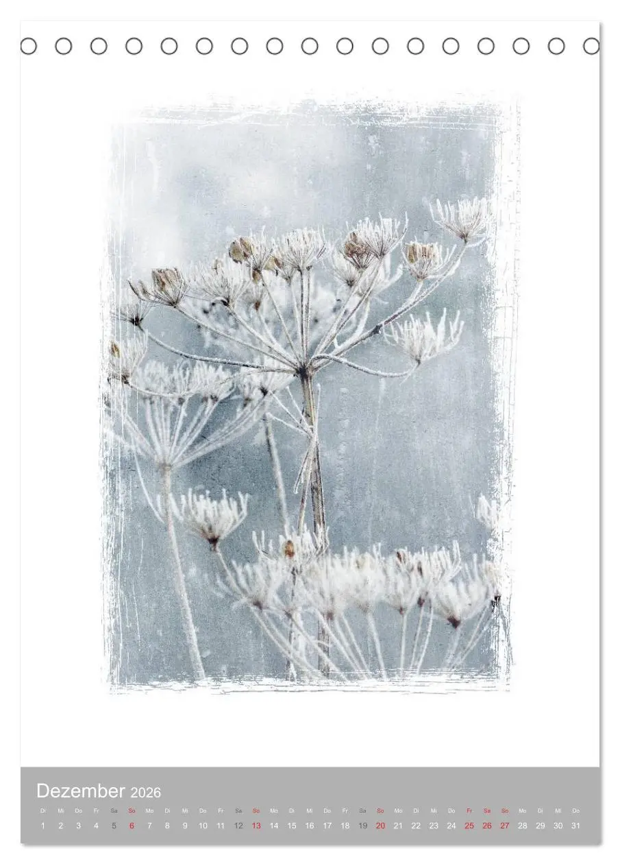 Bild: 9783516455687 | Kunstwerk Natur (Tischkalender 2026 DIN A5 hoch), CALVENDO...