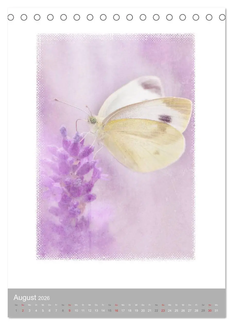 Bild: 9783516455687 | Kunstwerk Natur (Tischkalender 2026 DIN A5 hoch), CALVENDO...