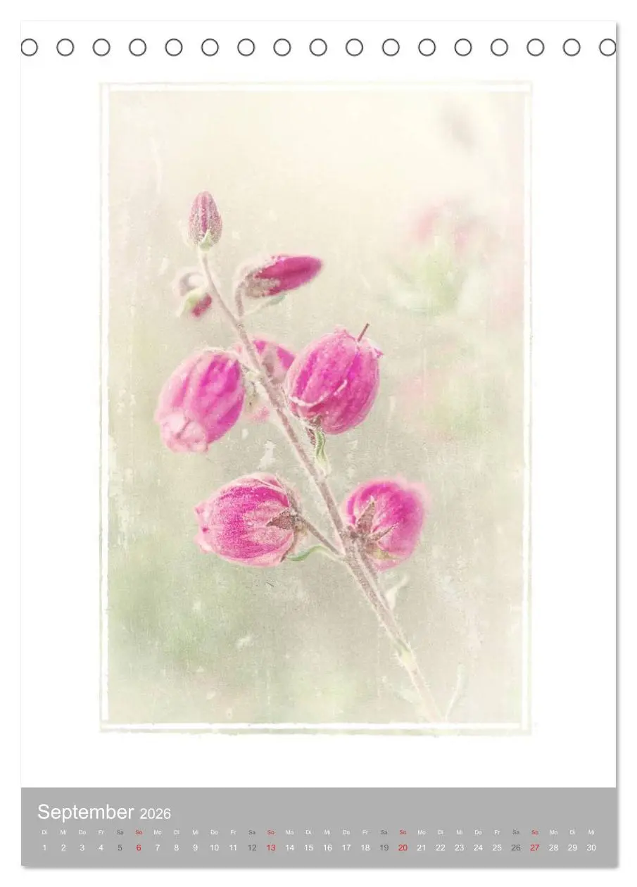Bild: 9783516455687 | Kunstwerk Natur (Tischkalender 2026 DIN A5 hoch), CALVENDO...