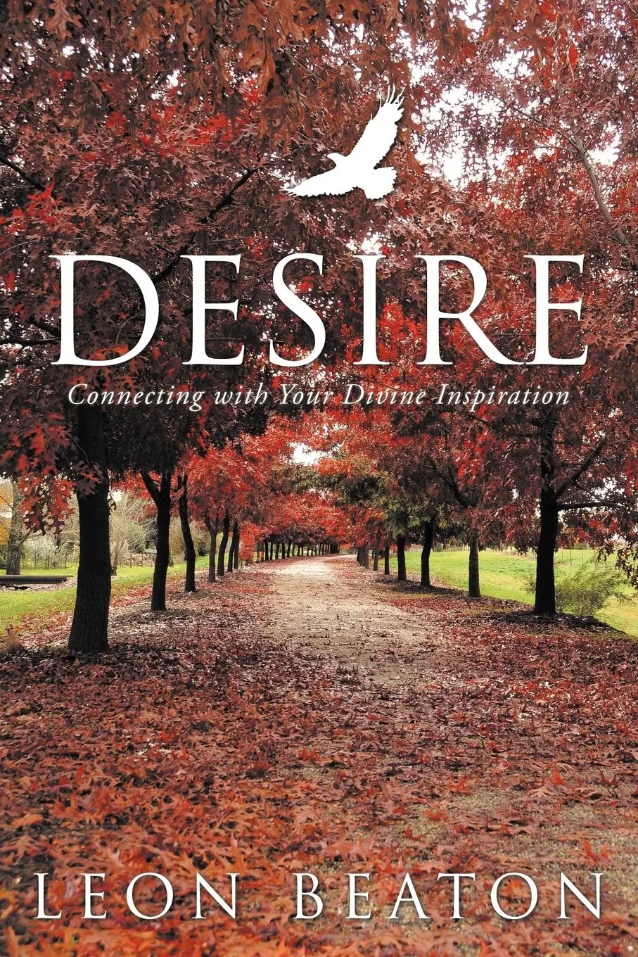 Cover: 9781452505787 | Desire | Connecting with Your Divine Inspiration | Leon Beaton | Buch