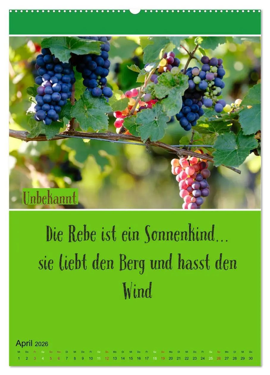 Bild: 9783516375787 | WEIN Weisheiten und Sprichworte (hochwertiger Premium Wandkalender...