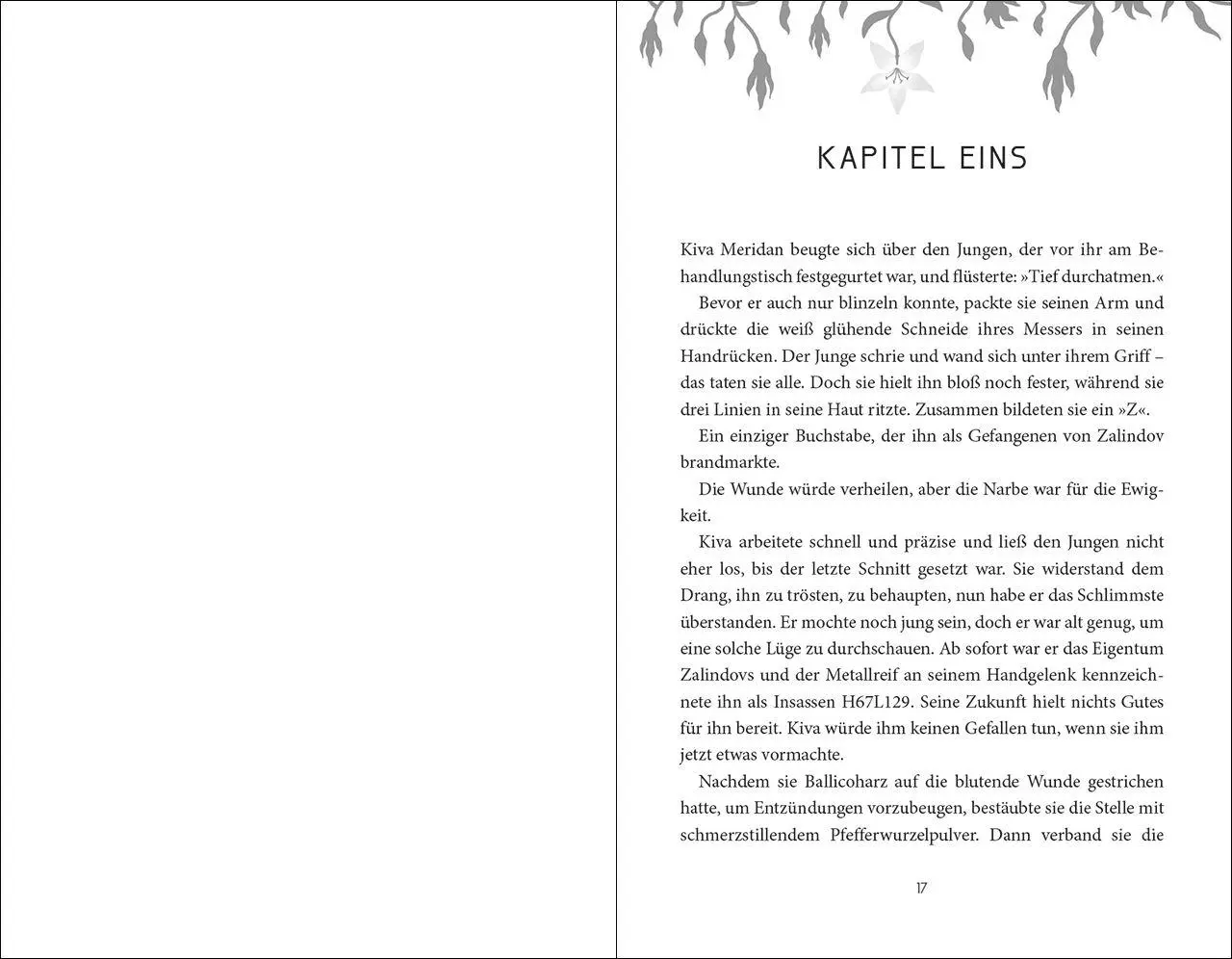 Bild: 9783743225787 | Prison Healer (Band 1) - Die Schattenheilerin | Lynette Noni | Buch
