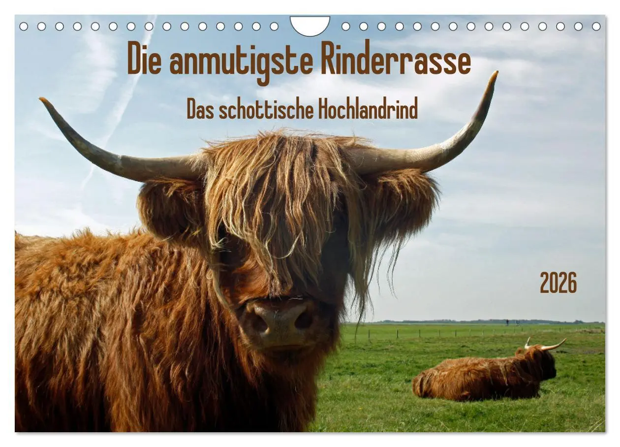 Cover: 9783457725887 | Die anmutigste Rinderrasse - Das schottische Hochlandrind...