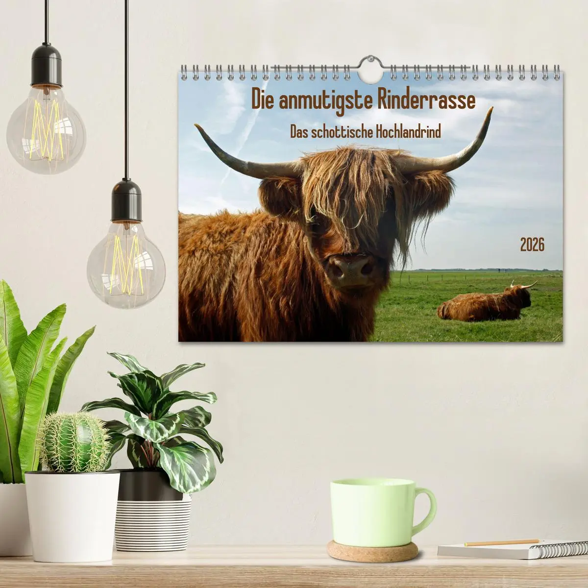 Bild: 9783457725887 | Die anmutigste Rinderrasse - Das schottische Hochlandrind...