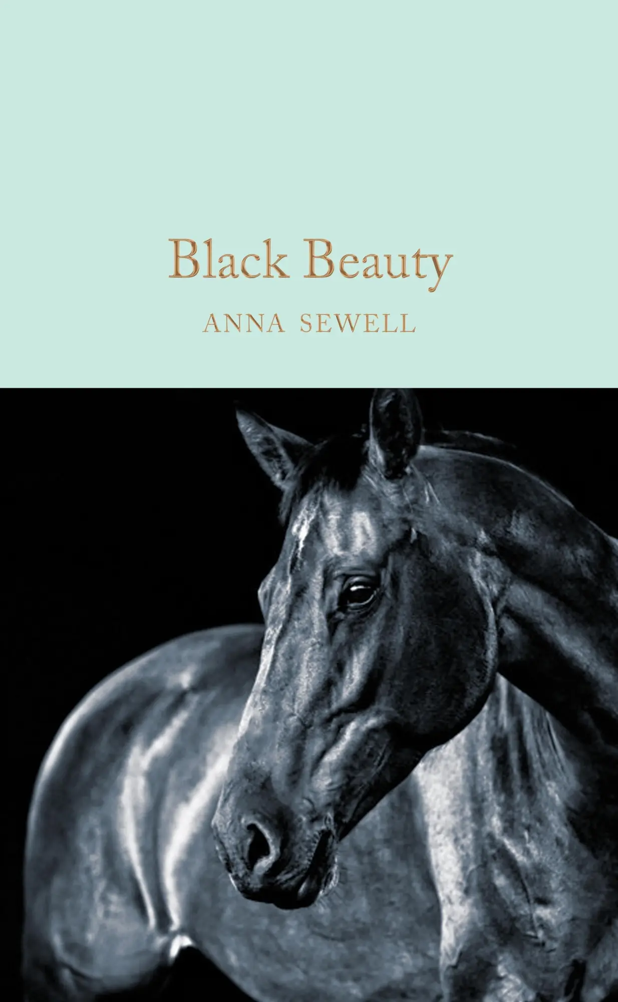 Cover: 9781509865987 | Black Beauty | Anna Sewell | Buch | 238 S. | Englisch | 2018