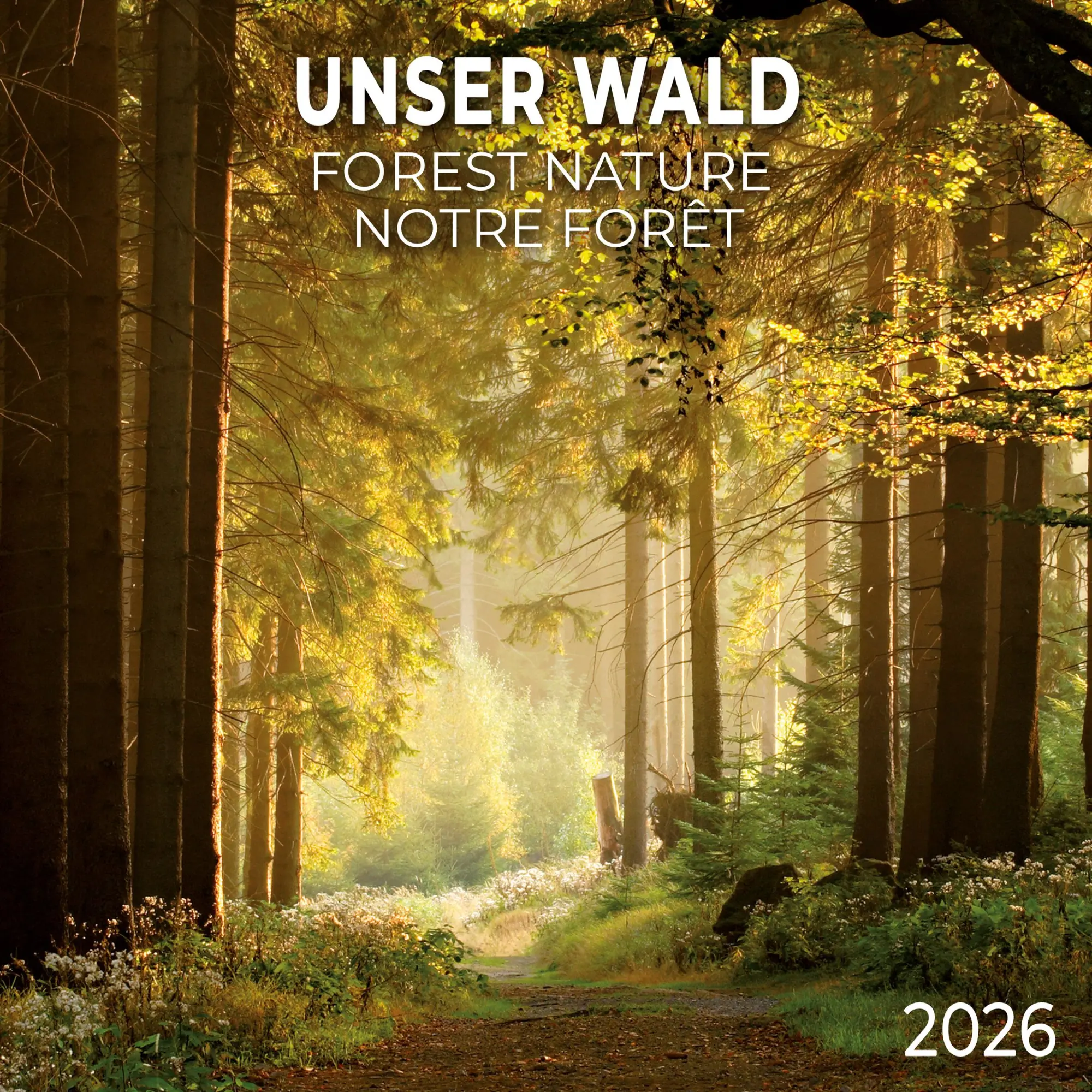 Cover: 9783959295987 | Unser Wald/Forest Nature 2026 | Kalender 2026 | Kalender | 28 S.