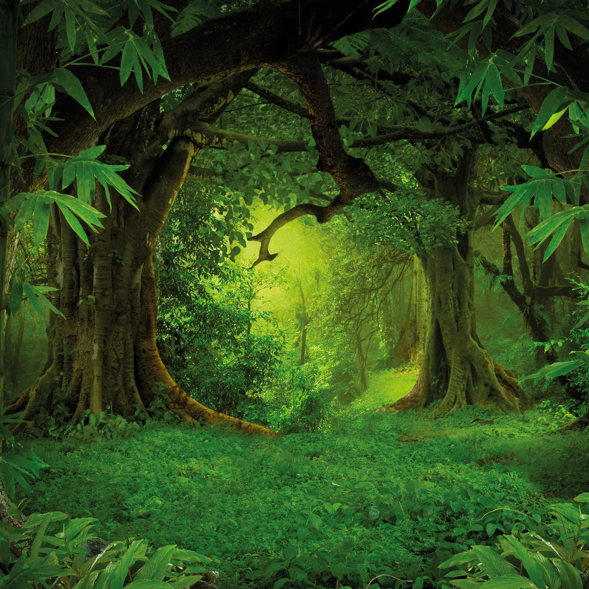 Bild: 9783959295987 | Unser Wald/Forest Nature 2026 | Kalender 2026 | Kalender | 28 S.
