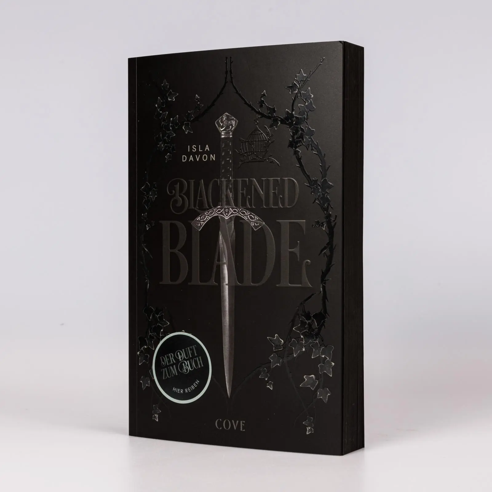 Bild: 9783551586087 | Blackened Blade 1: The Blackened Blade | Isla Davon | Taschenbuch