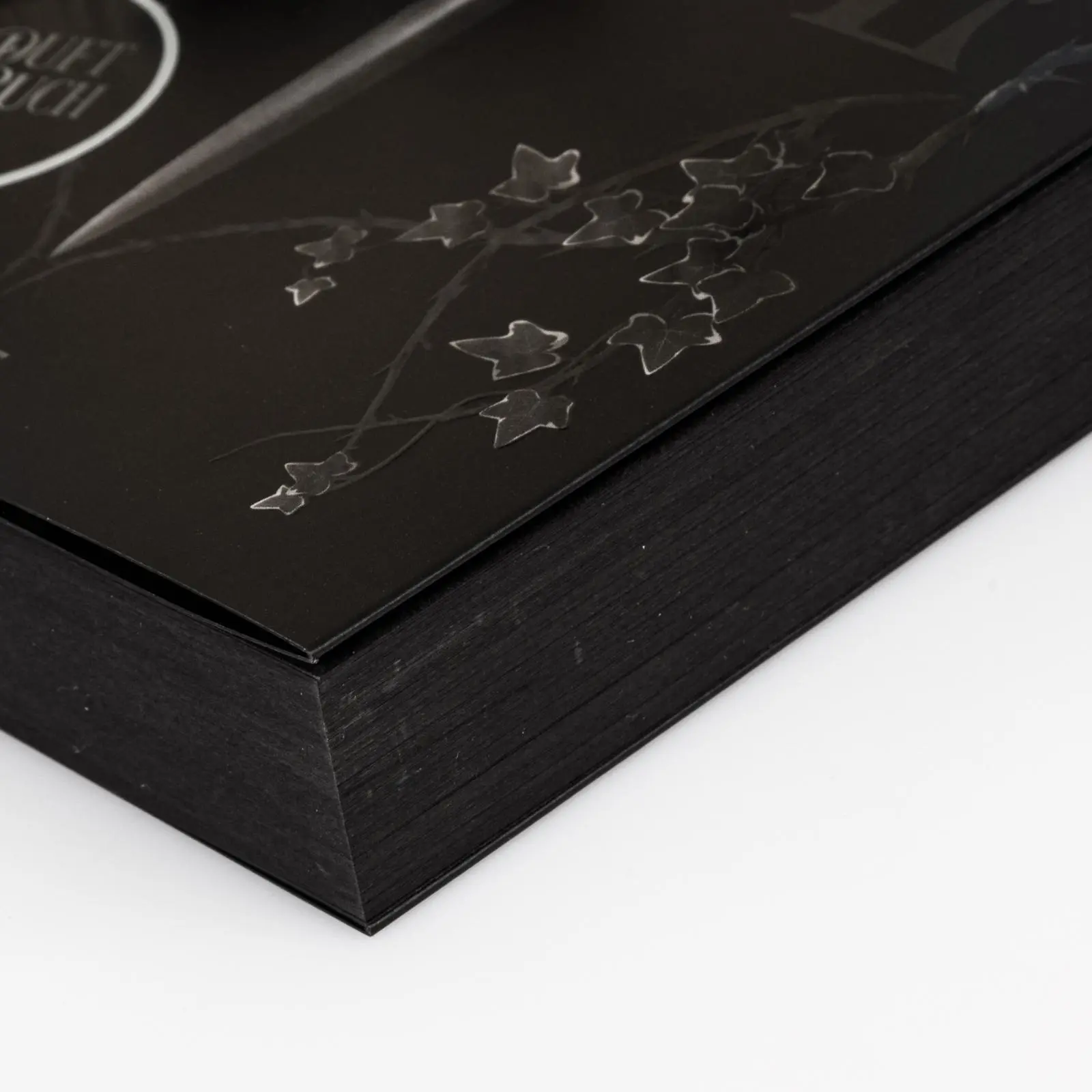 Bild: 9783551586087 | Blackened Blade 1: The Blackened Blade | Isla Davon | Taschenbuch