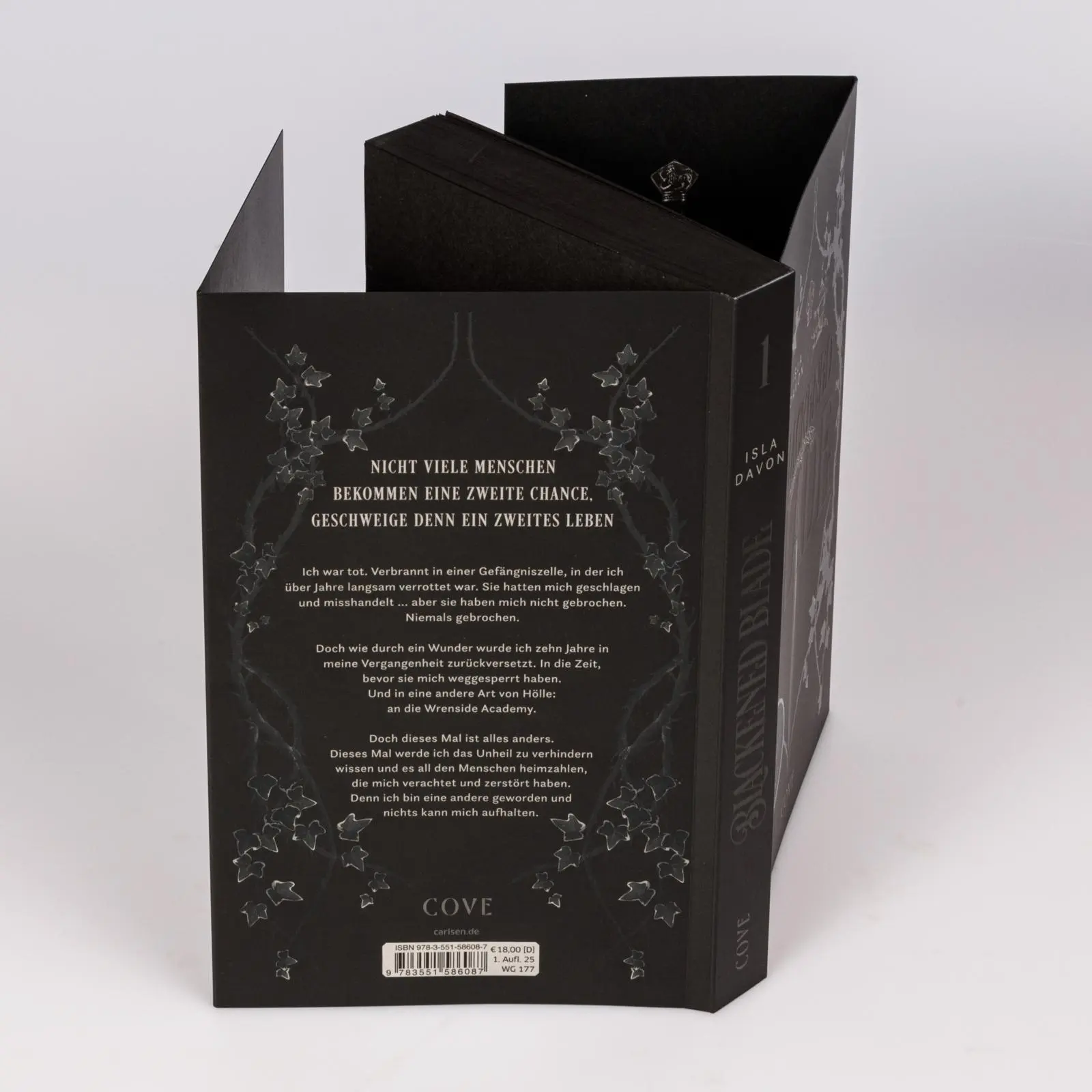 Bild: 9783551586087 | Blackened Blade 1: The Blackened Blade | Isla Davon | Taschenbuch