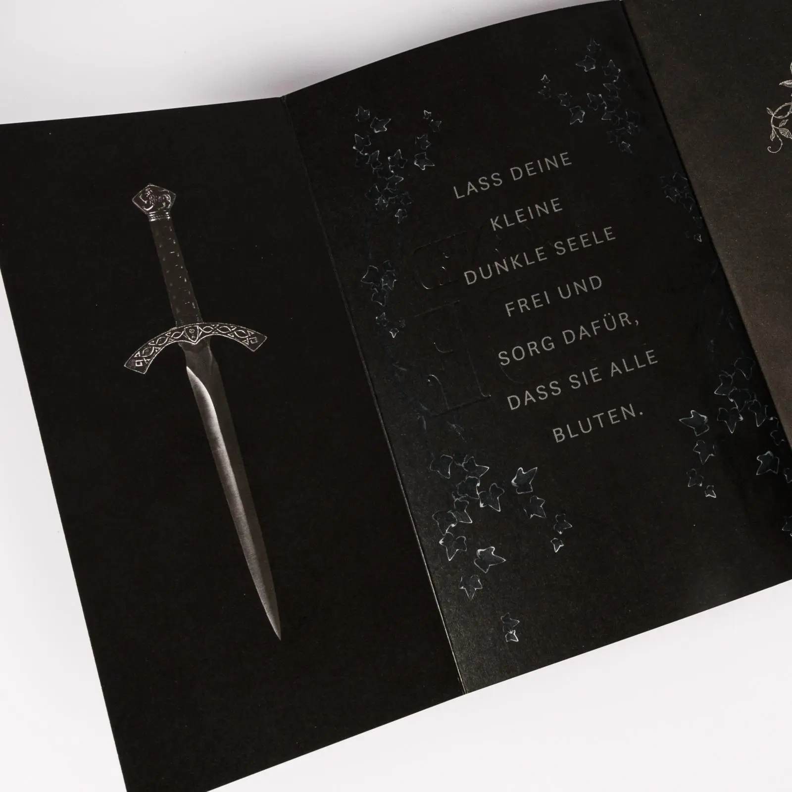 Bild: 9783551586087 | Blackened Blade 1: The Blackened Blade | Isla Davon | Taschenbuch